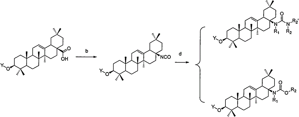 Novel oleanolic acid derivatives, and preparation method and application thereof