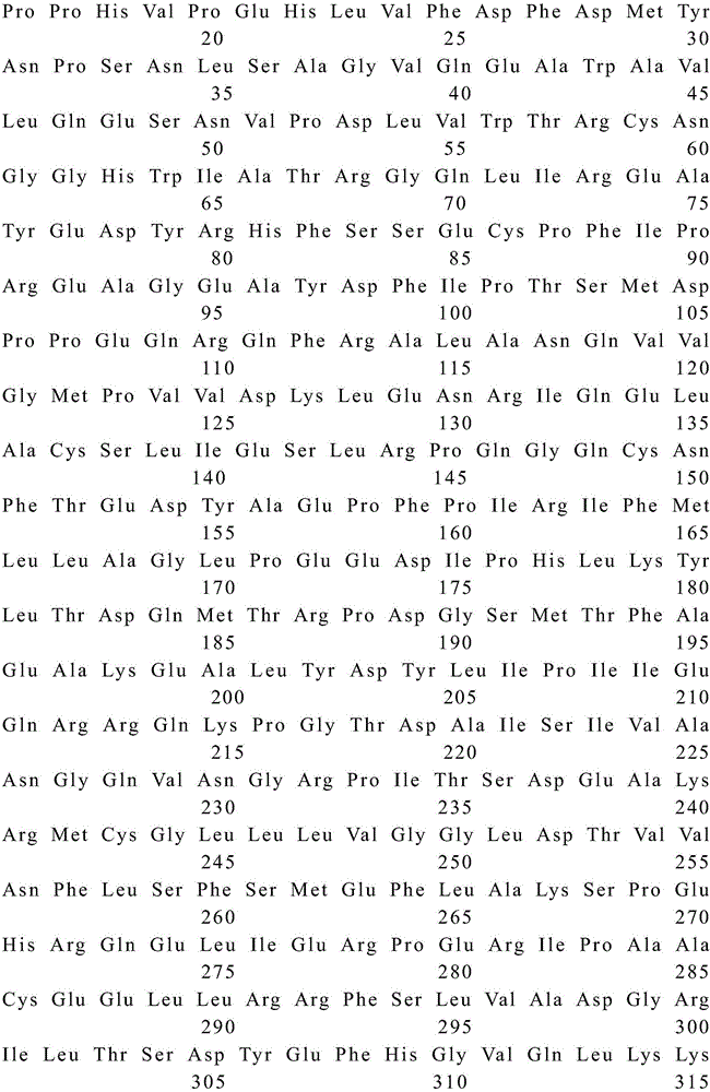 CYP101 enzyme recombinant vector, construction method thereof and CYP101 enzyme high-efficiency expression and purification method