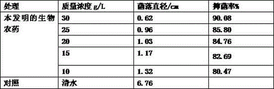 Biological pesticide for preventing and controlling strawberry powdery mildew and preparation method