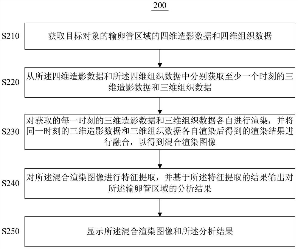 Ultrasonic contrast imaging method and ultrasonic imaging device for fallopian tube and storage medium