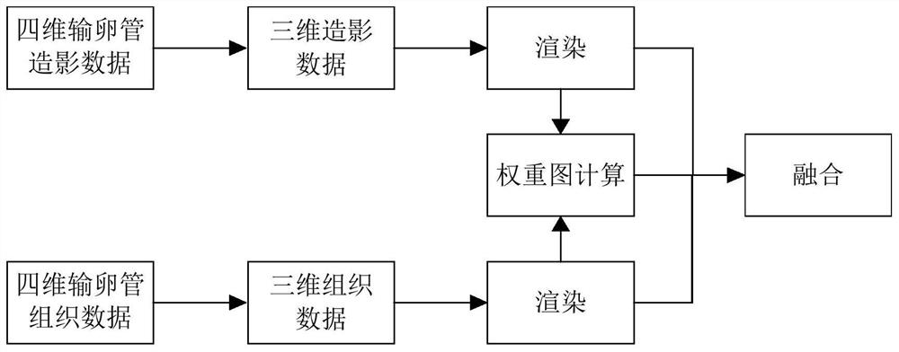 Ultrasonic contrast imaging method and ultrasonic imaging device for fallopian tube and storage medium