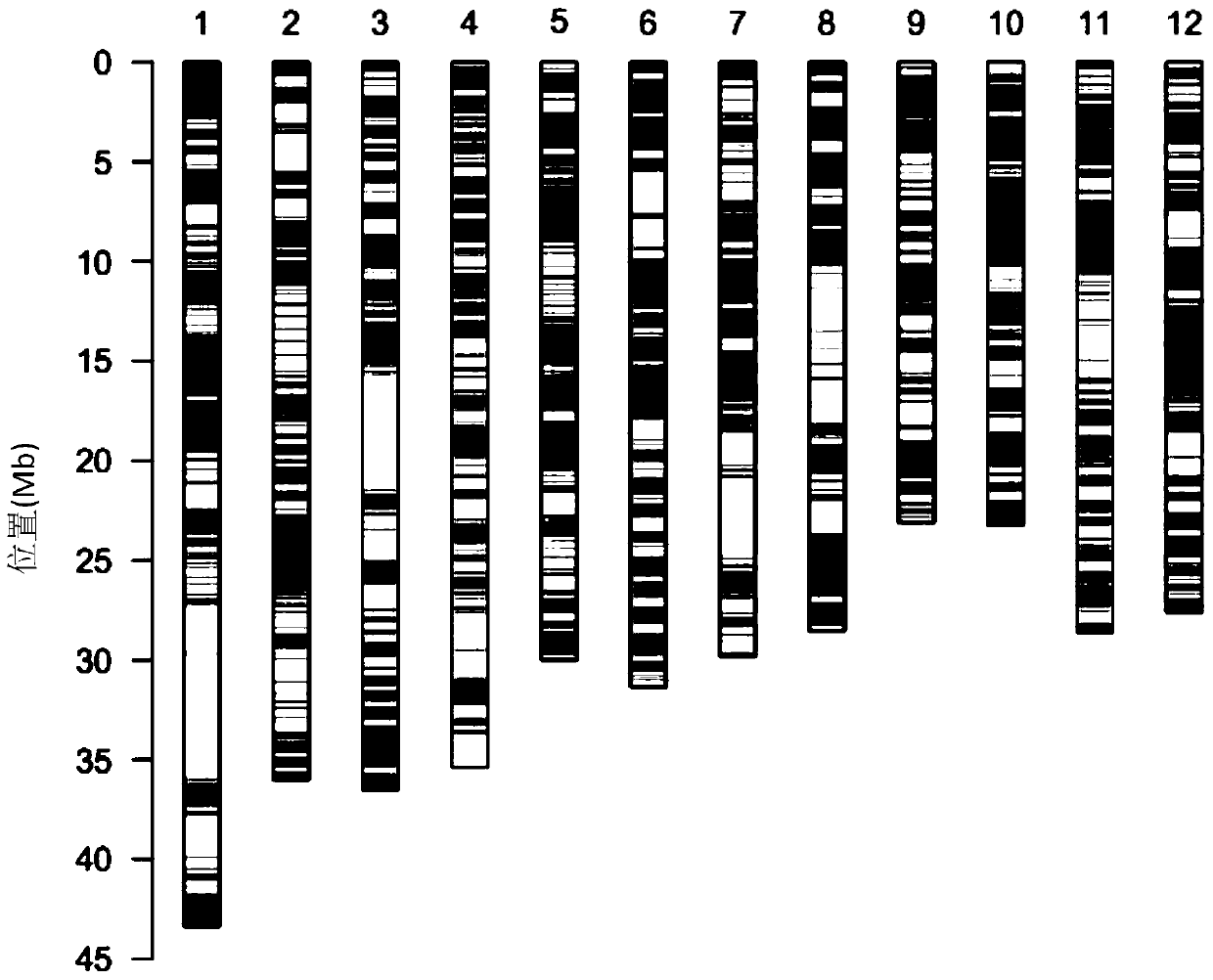 Recombined nucleic acid fragment reccr010380 and its detection method