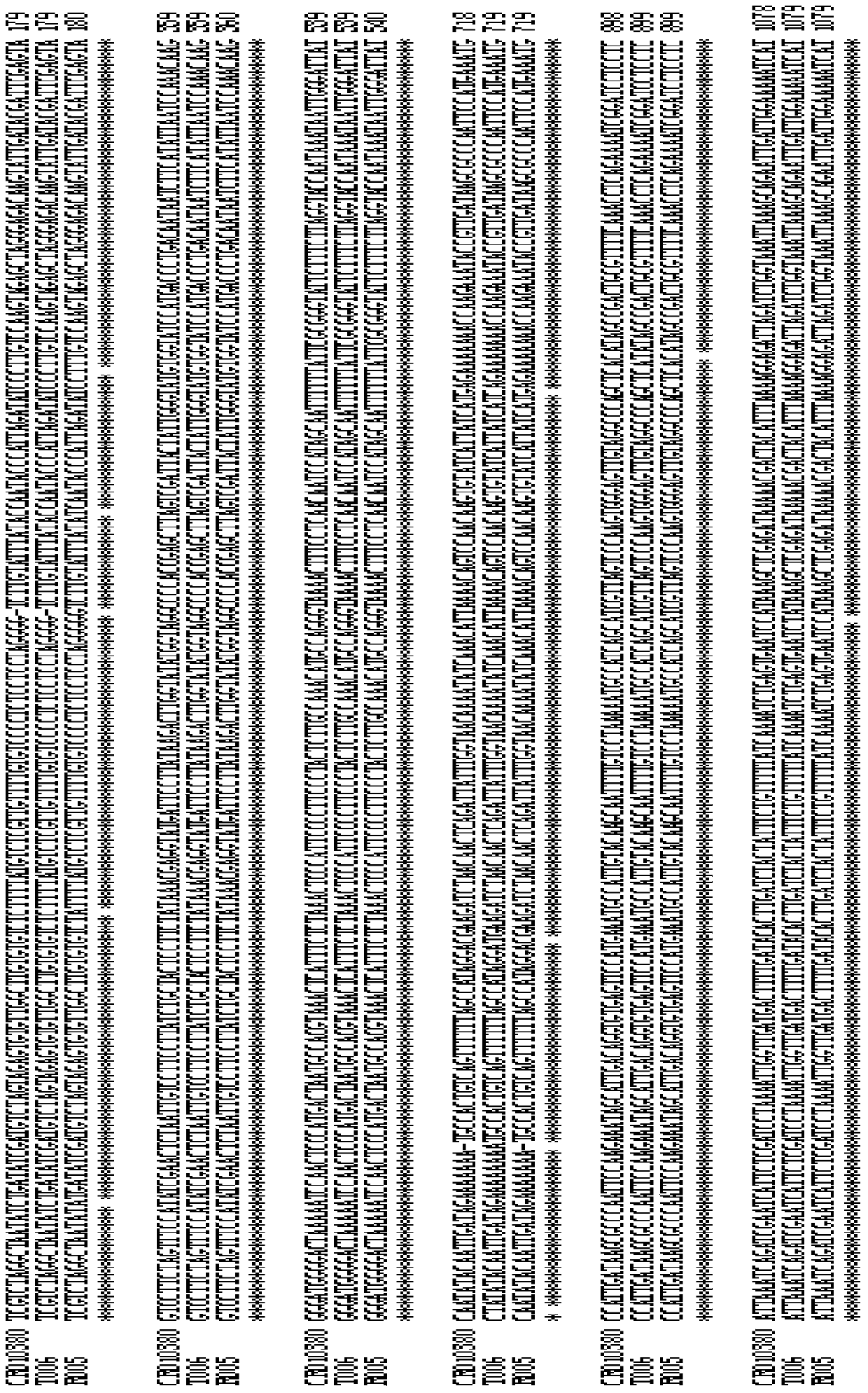 Recombined nucleic acid fragment reccr010380 and its detection method