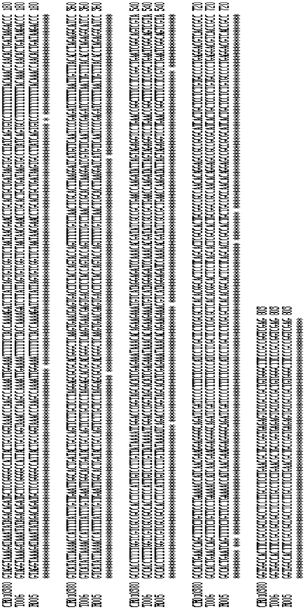 Recombined nucleic acid fragment reccr010380 and its detection method