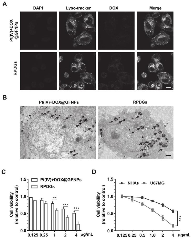 Platinum (ⅳ) and crgd-modified ga/fe nanoparticles loaded with doxorubicin and its method for targeted treatment of tumors