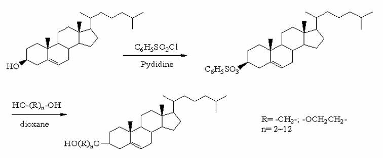 Biomimetic polymer, and preparation method and application thereof