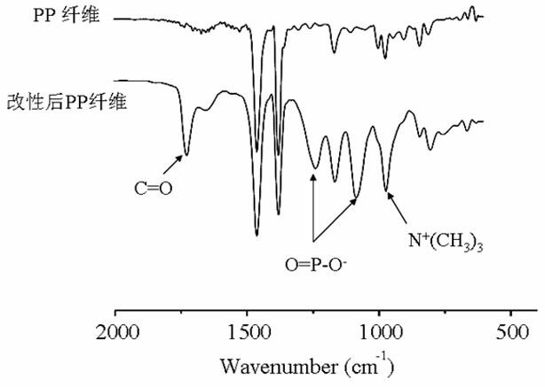 Biomimetic polymer, and preparation method and application thereof