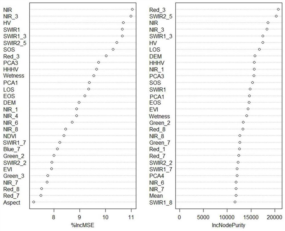 Forest biomass estimation method considering harmonic model coefficient and phenological parameter