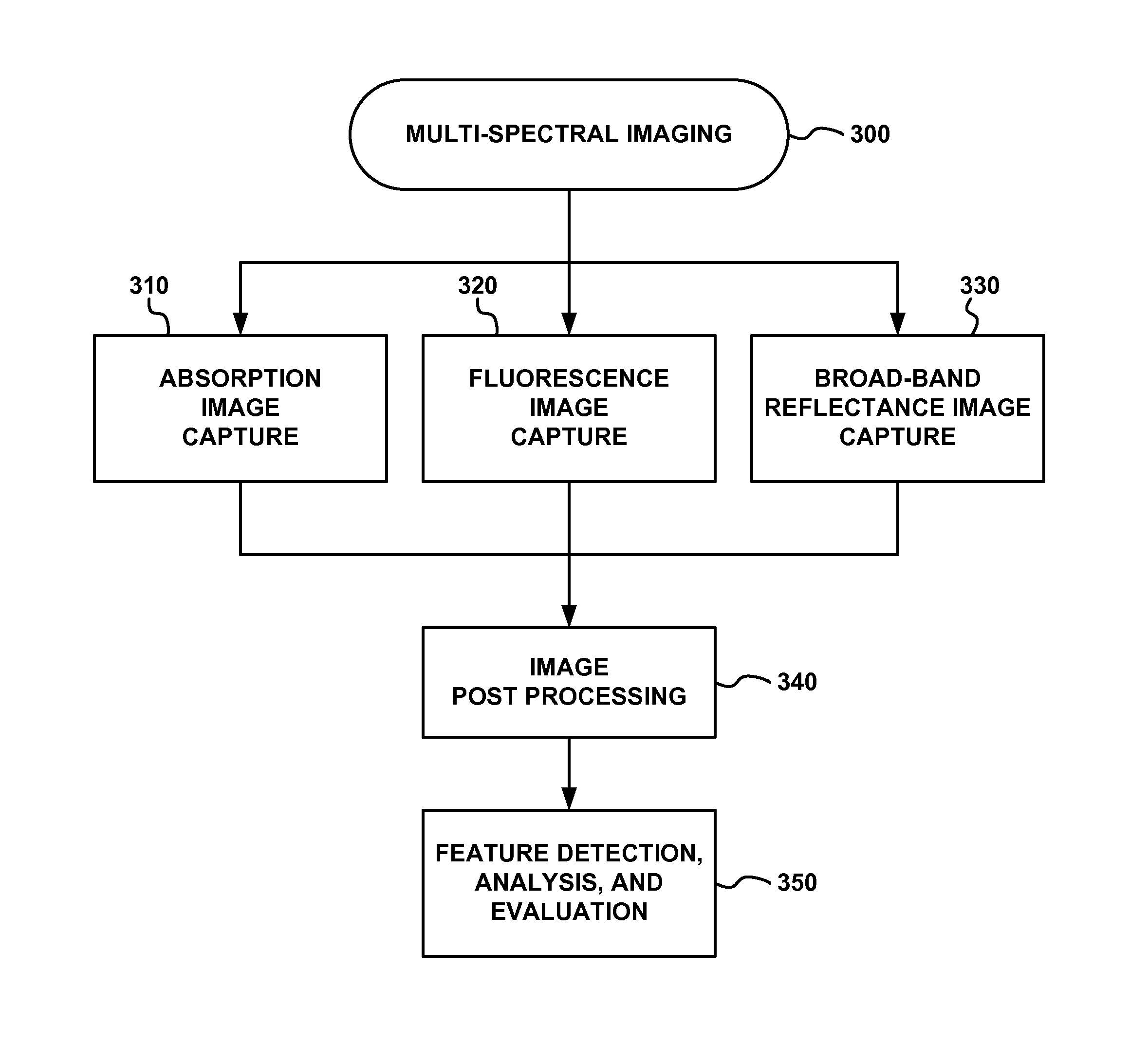 Multi-spectral tissue imaging