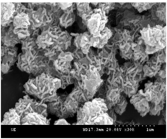 cus/cdin  <sub>2</sub> the s  <sub>4</sub> /znin  <sub>2</sub> the s  <sub>4</sub> Microwave-assisted one-step synthesis of composite photocatalysts