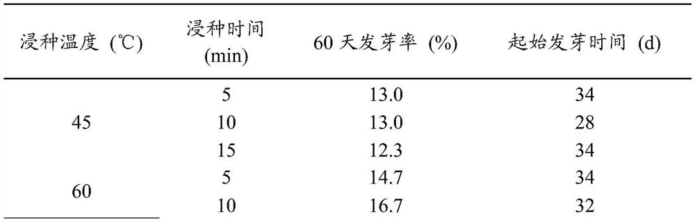 Method for promoting germination of curcuma alismatifolia seeds