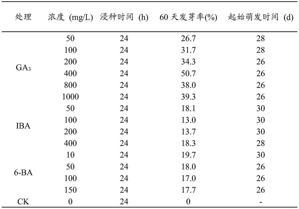 Method for promoting germination of curcuma alismatifolia seeds