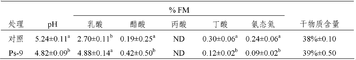 Lactobacillus plantarum used for silage alfalfa and use method thereof