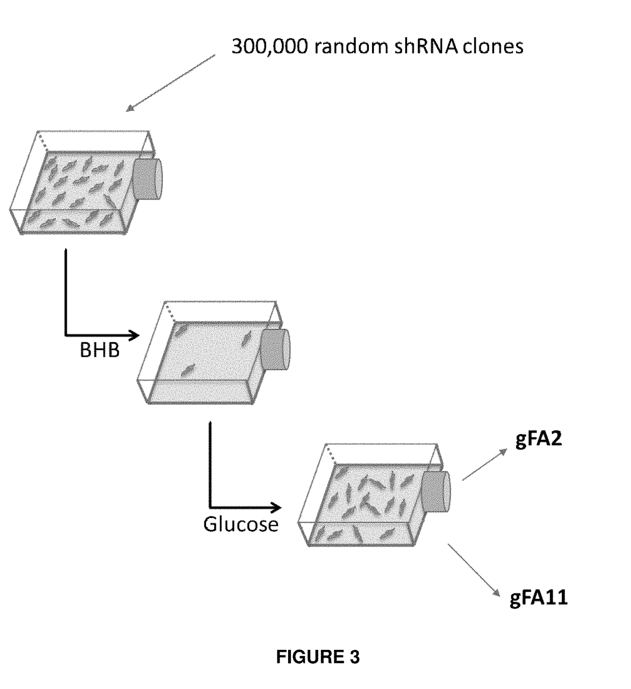 P38 map kinase inhibitors for treating friedreich's ataxia