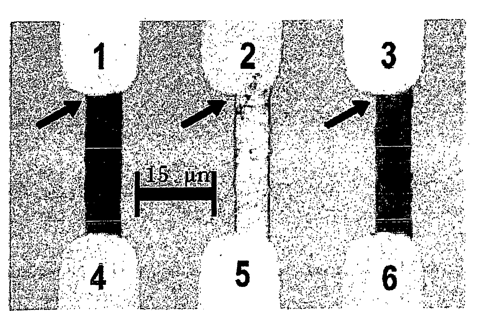 Arrays of electrodes coated with molecules and their production