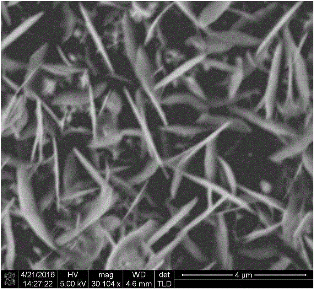 Preparation method for vertically arrayed bimetallic hydrotalcite nanosheet