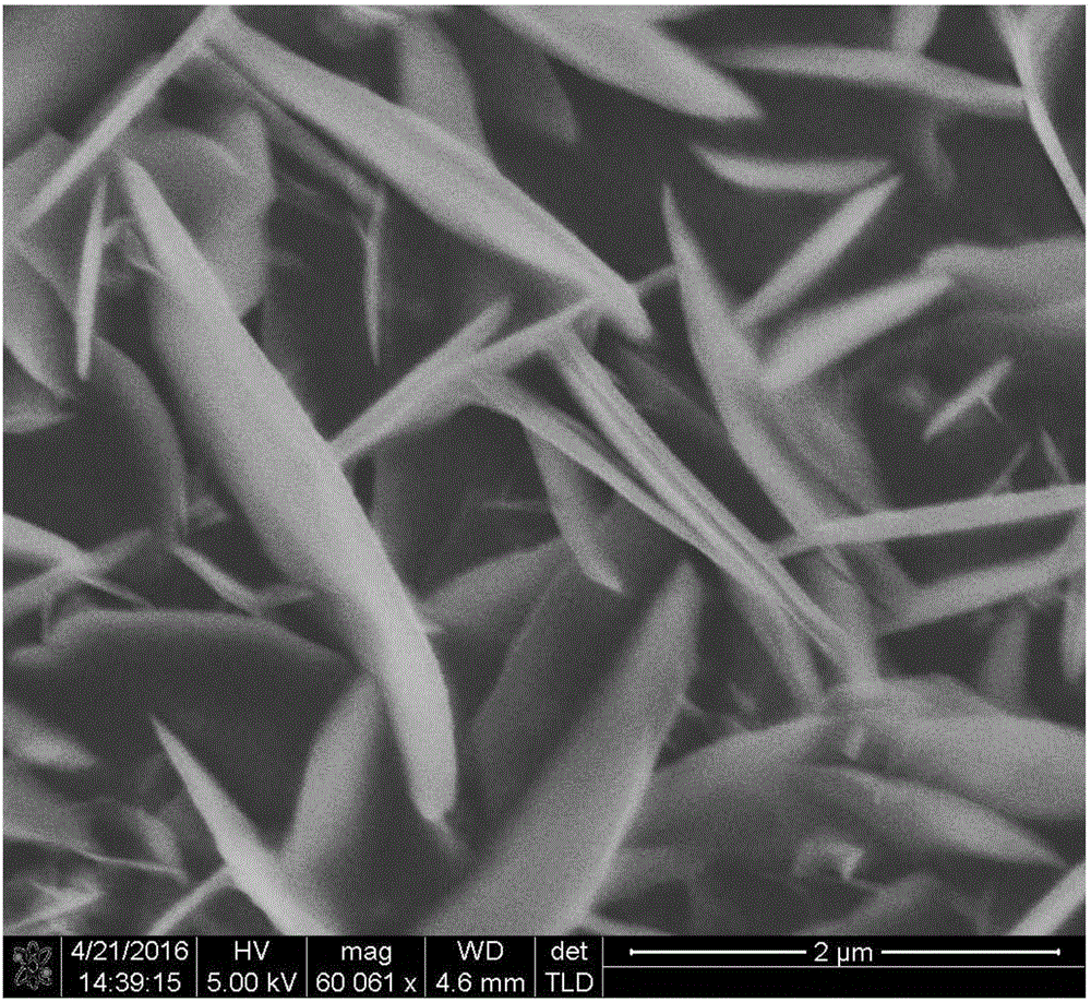 Preparation method for vertically arrayed bimetallic hydrotalcite nanosheet