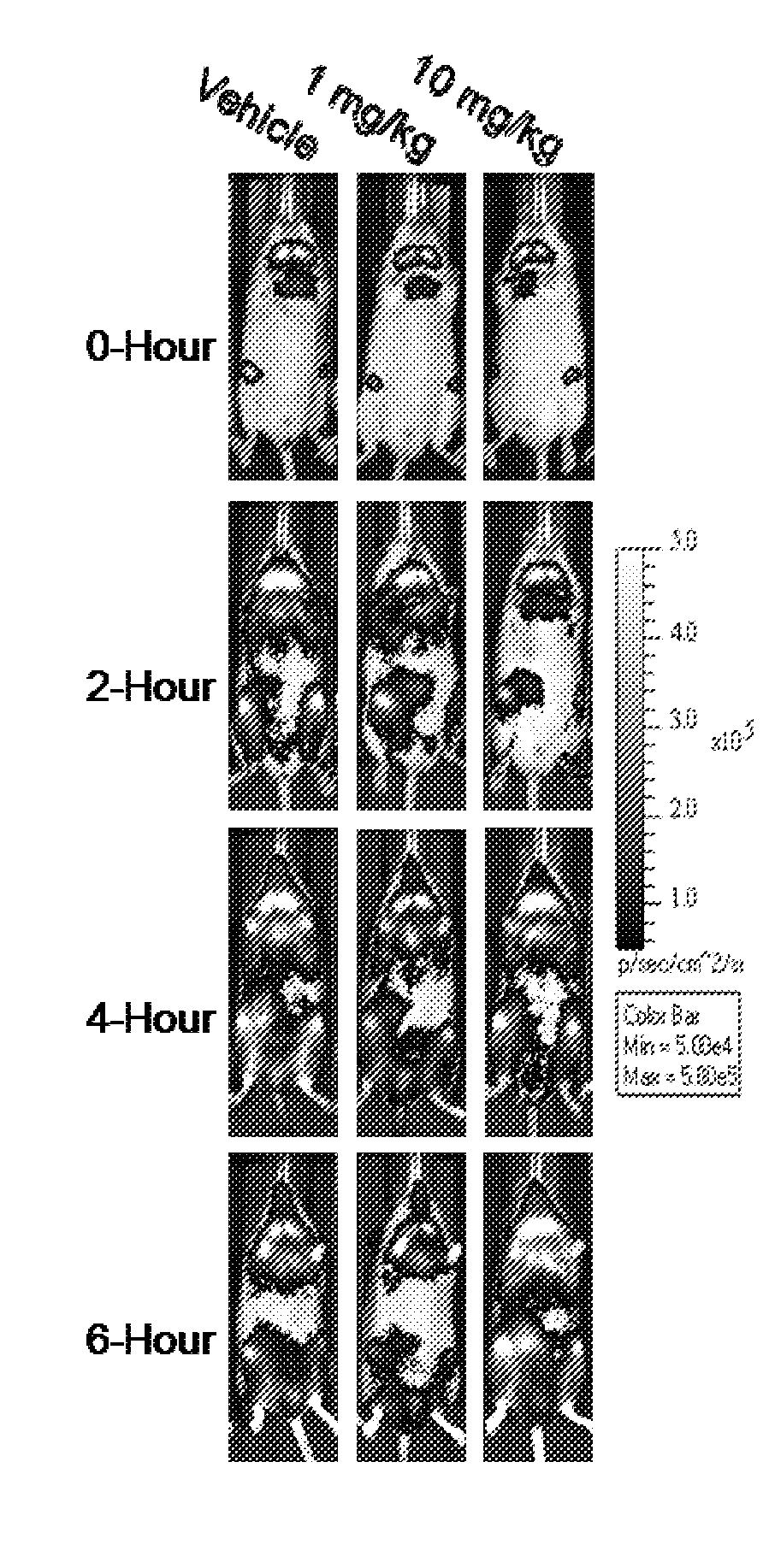 Methods for treating inflammation and related conditions