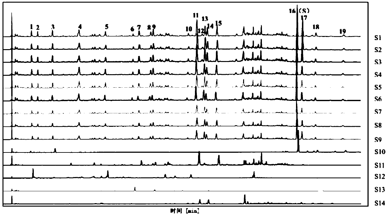 Rehmannia decoction pharmaceutical composition and preparation method thereof, and detection method