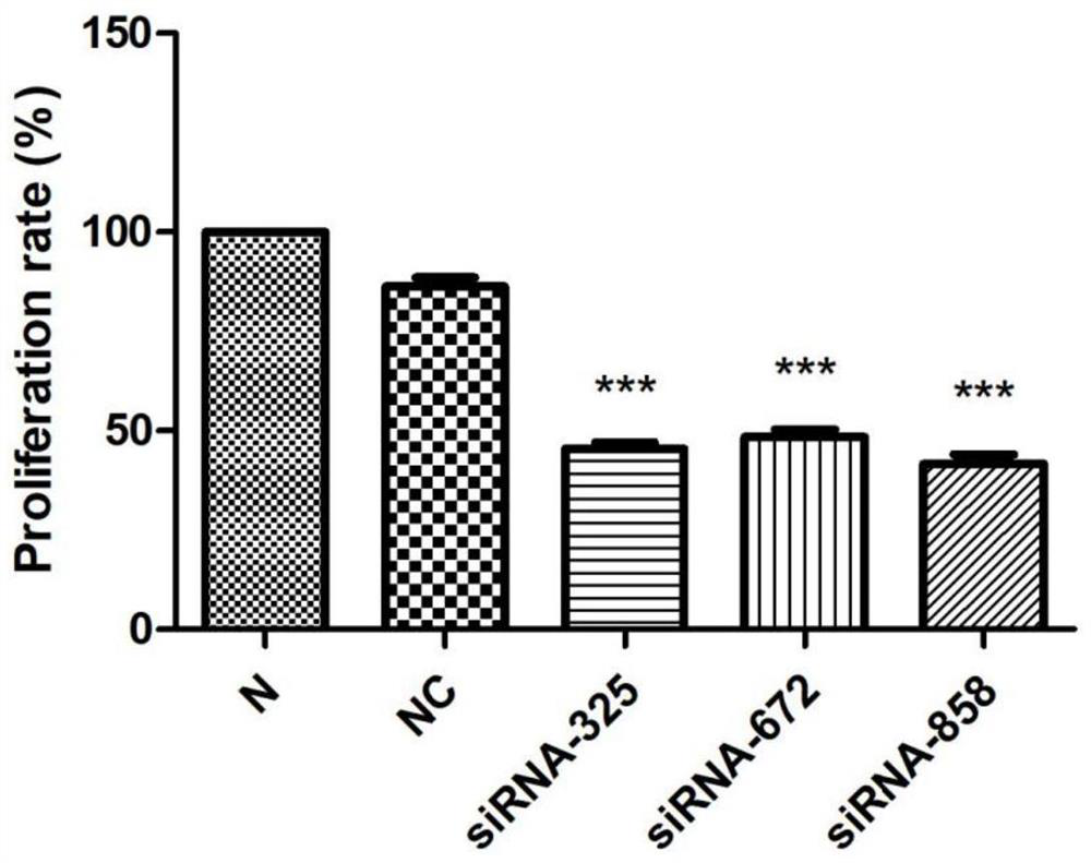 Application of substance for knocking down BACE2 gene expression in tumor resistance and BACE2 inhibitor