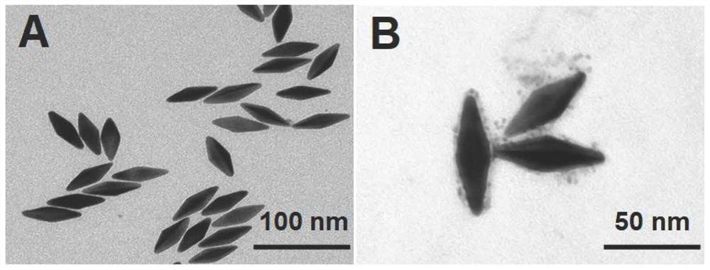 Composite nanoprobe with targeted fluorescence/magnetic resonance bimodal imaging and photothermal therapy functions as well as preparation and application of composite nanoprobe