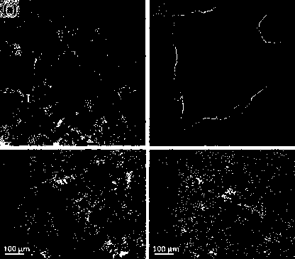 Preparation method of functionalized graphene oxide/epoxy resin nanocomposite