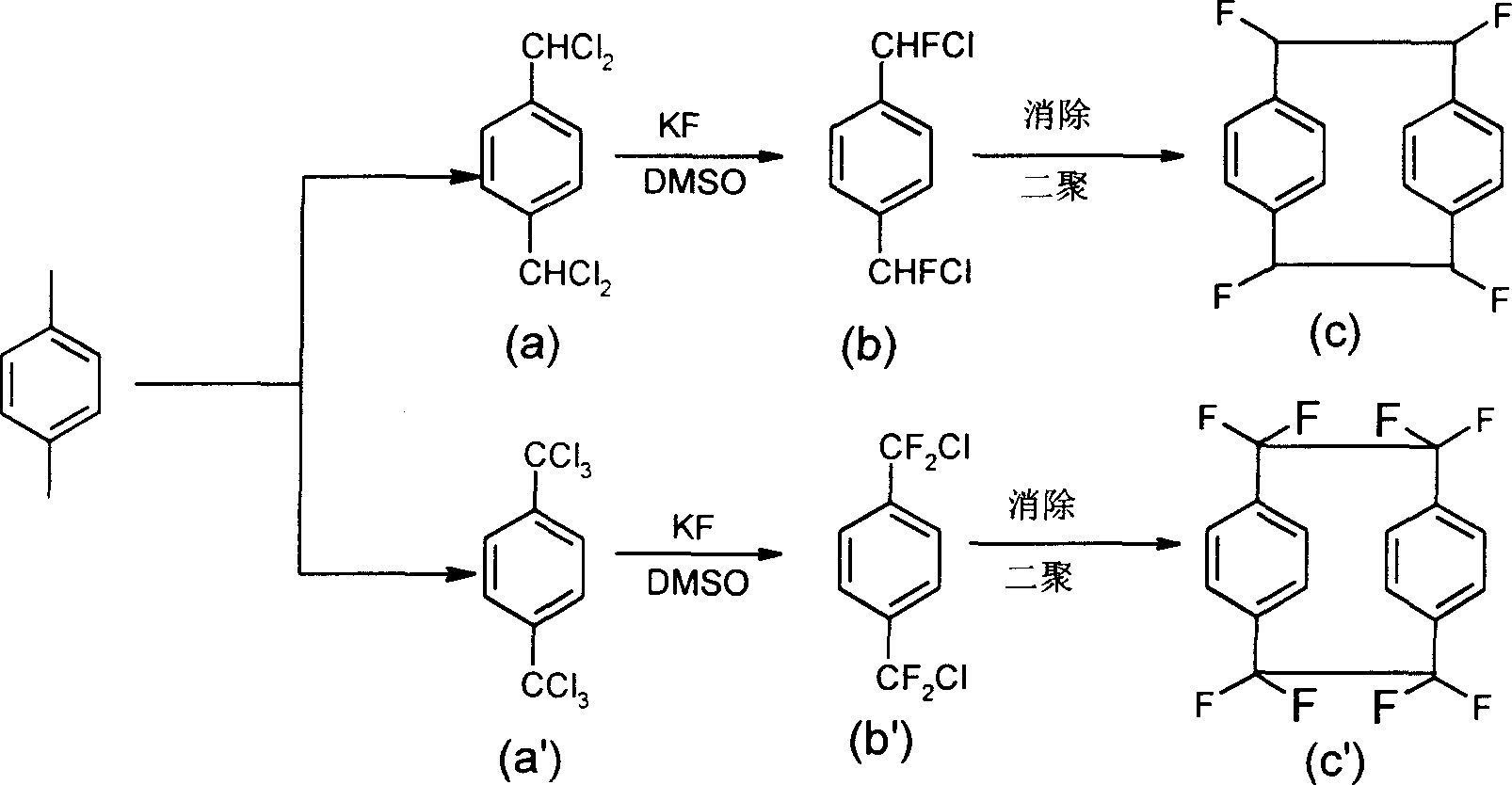 Method for synthesizing fluoro-polypxylene