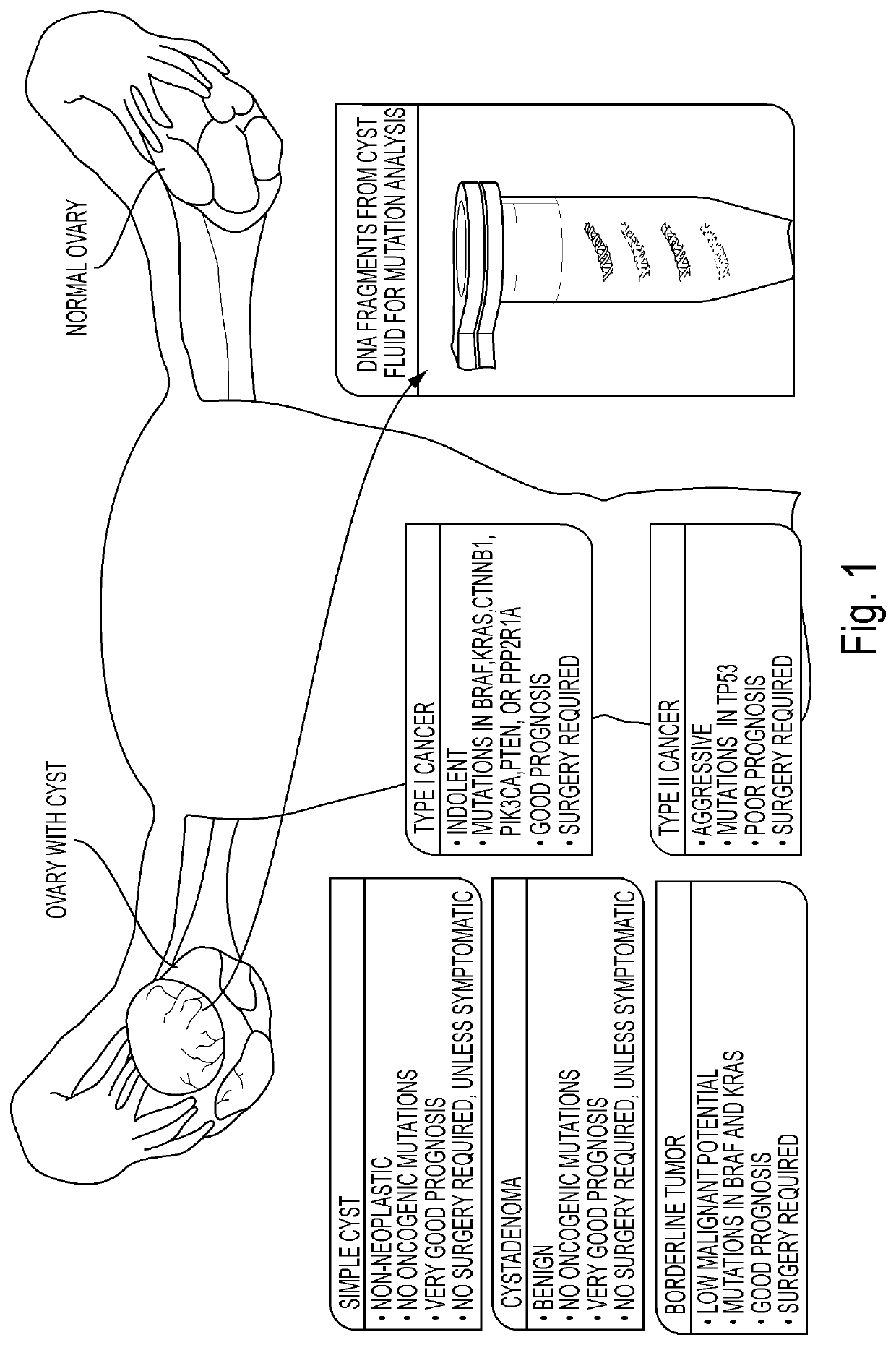 Assaying ovarian cyst fluid