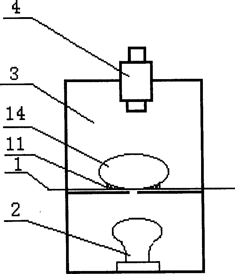 Fowl eggs quality non-destruction automatic detection grading apparatus and process