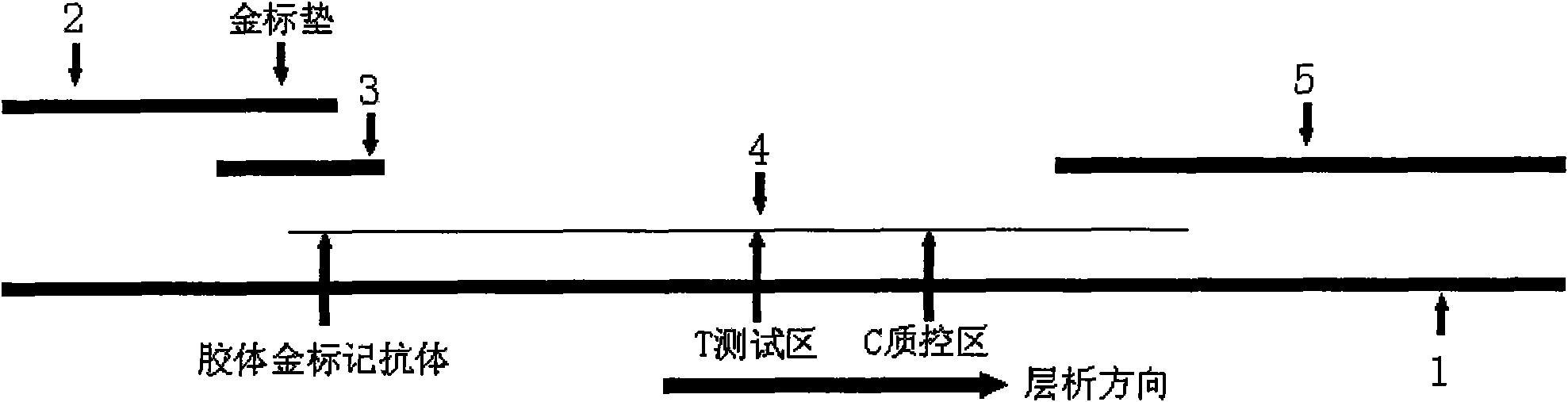 Immune colloidal gold test card for testing high-risk type human papillomavirus and test method thereof