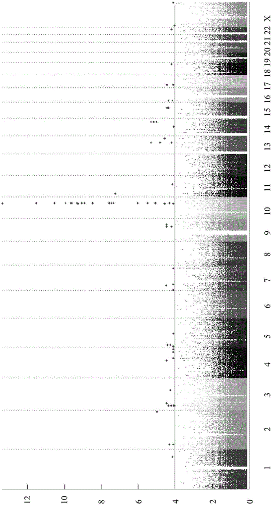 Method for evaluating drug anaphylactic reaction caused by antiepileptic drug phenytoin with HLA allele