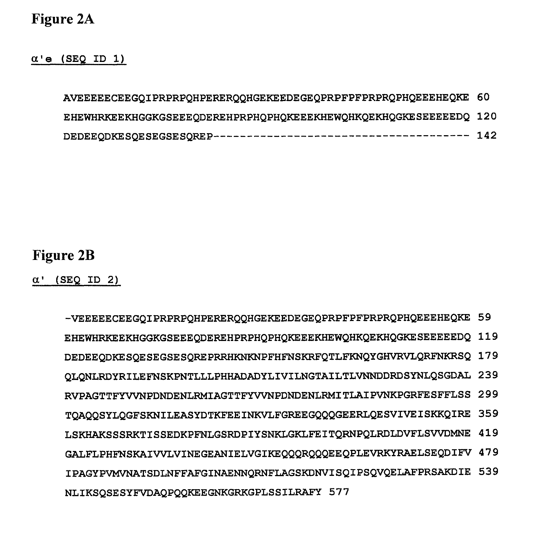 Cloning, yeast expression, purification and biological activity of the extension region of the soybean 7S globulin alfa' subunit involved in HEP G2 cell cholesterol homeostasis