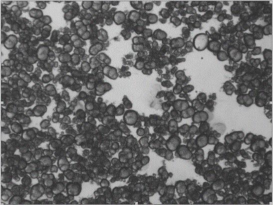 Polyamide powder and preparation method thereof