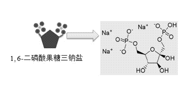 Calcium phosphate nano-structures and preparation method thereof