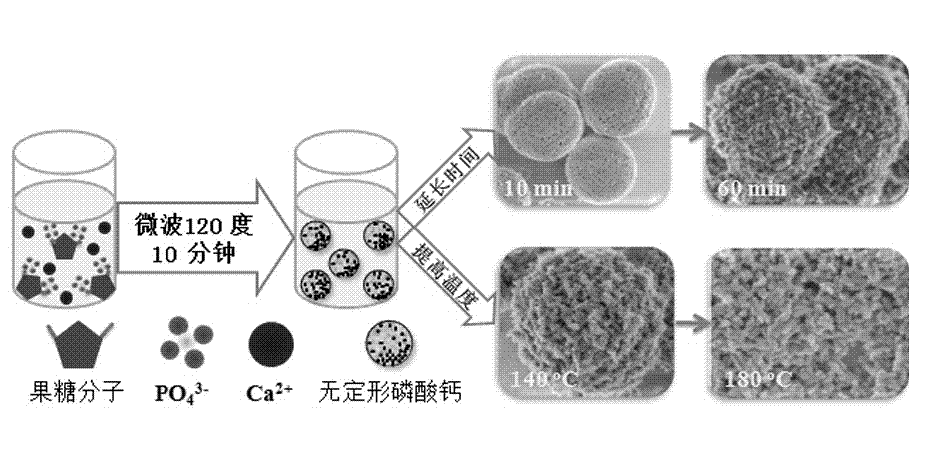 Calcium phosphate nano-structures and preparation method thereof