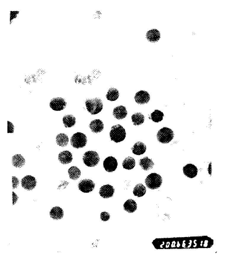 Method for preparing gold magnetic particles