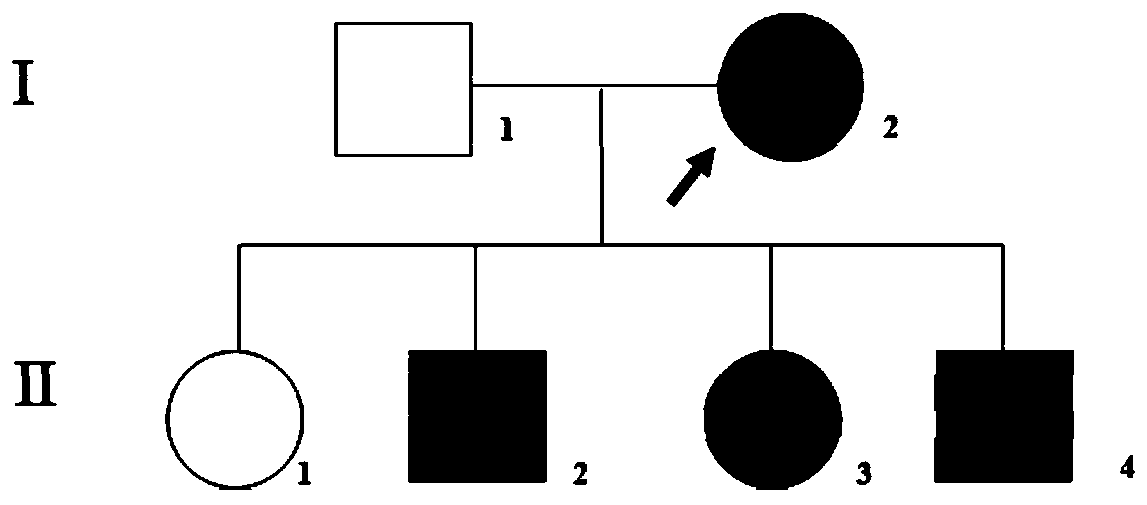 Gene panel for detecting single-gene genetic hypertension and application of gene panel