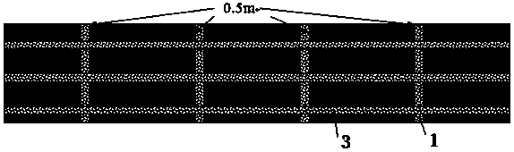 Economical seashore saline soil greening quick planting method