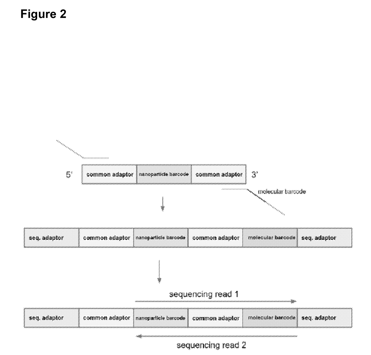 Methods of tagging particles for multiplexed functional screening