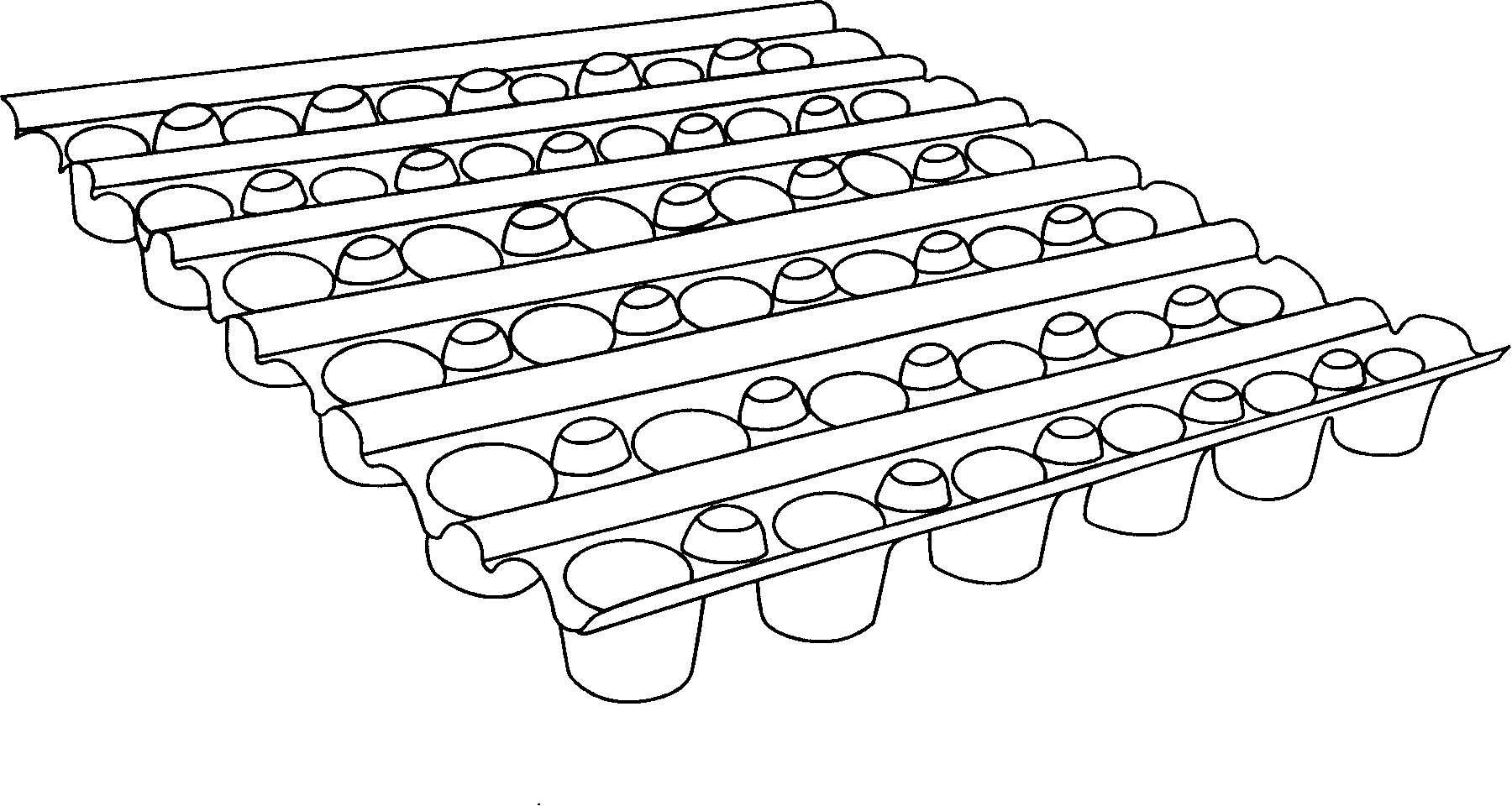 A system for collecting and processing residence zone sanitary sewage and stormwater for roofs planting