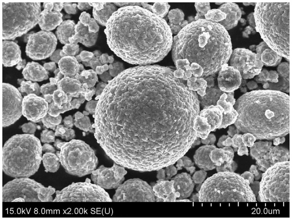 A high-compression, high-stability, and high-nickel positive electrode material, a preparation method thereof, and a lithium ion battery