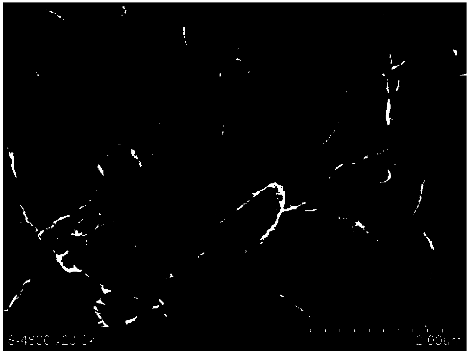 Preparation method of positive electrode paste for lithium fluorocarbon battery with carbon nanotube as conductive agent