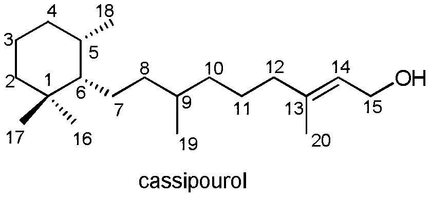 Monocyclic diterpene compound cassipourol, preparation method thereof and use in pharmacy