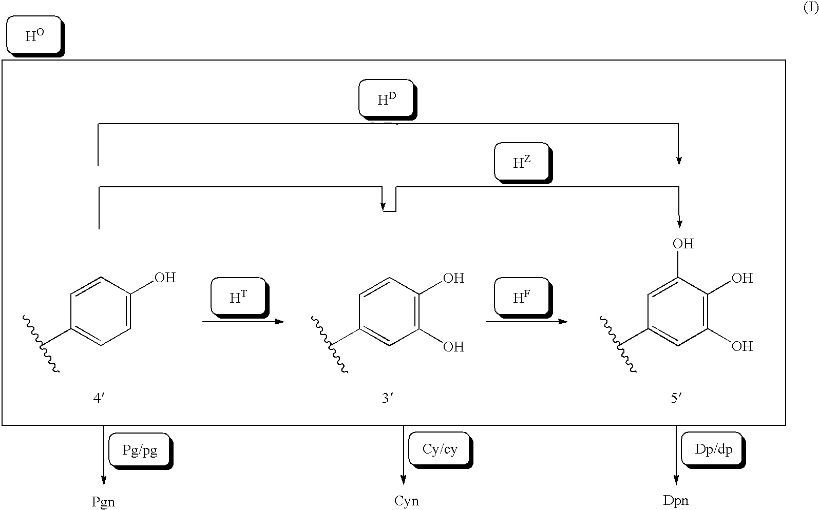 Method of crossing flower color genotypes