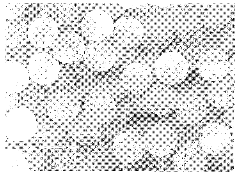 Method for preparing monodispersed polymer microsphere resin by atom transfer radical precipitation polymerization