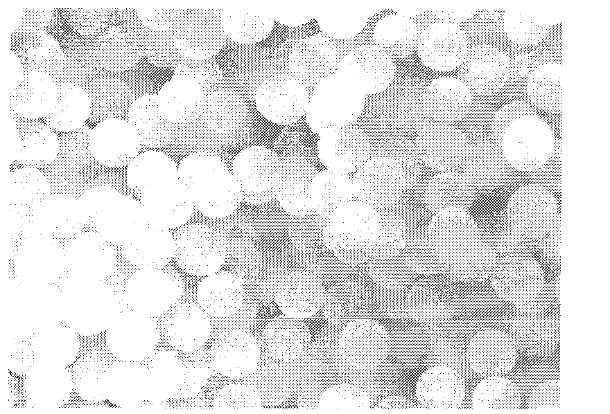 Method for preparing monodispersed polymer microsphere resin by atom transfer radical precipitation polymerization