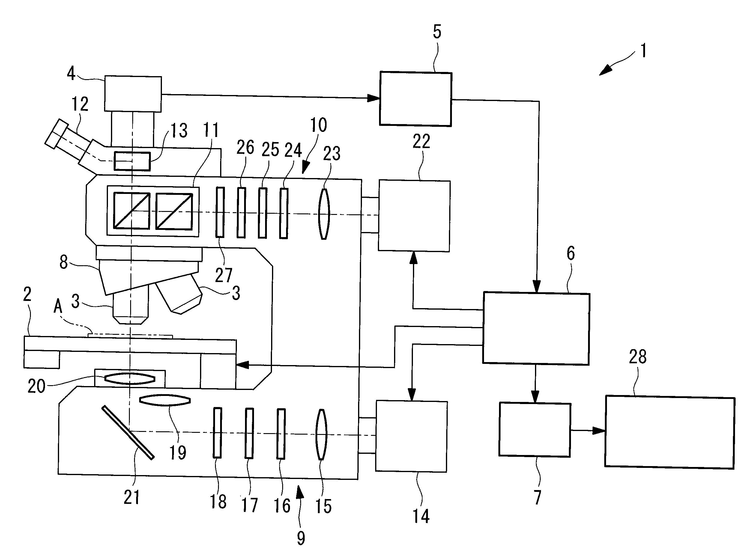 Microscope Apparatus and Microscope Observation Method