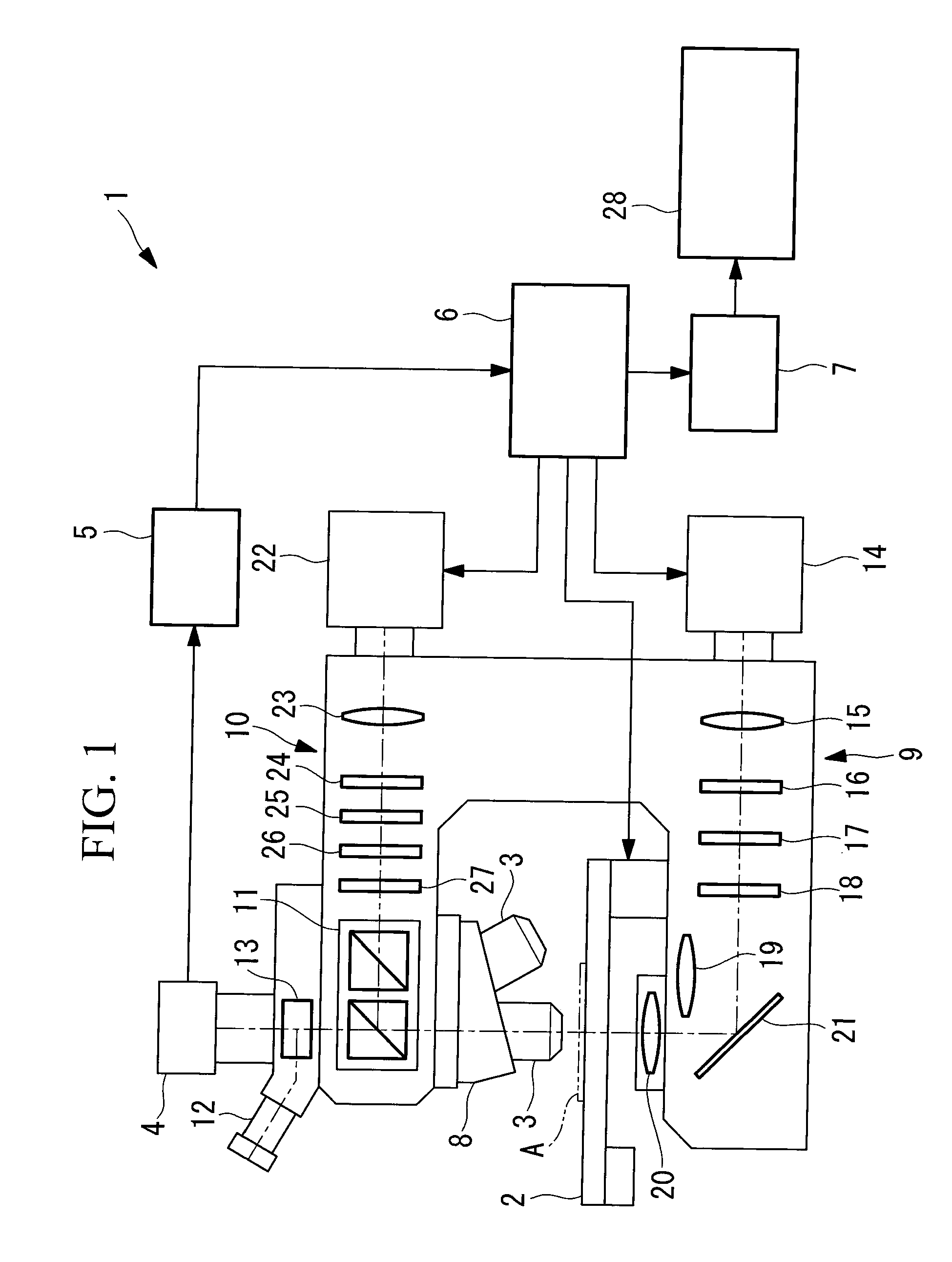 Microscope Apparatus and Microscope Observation Method