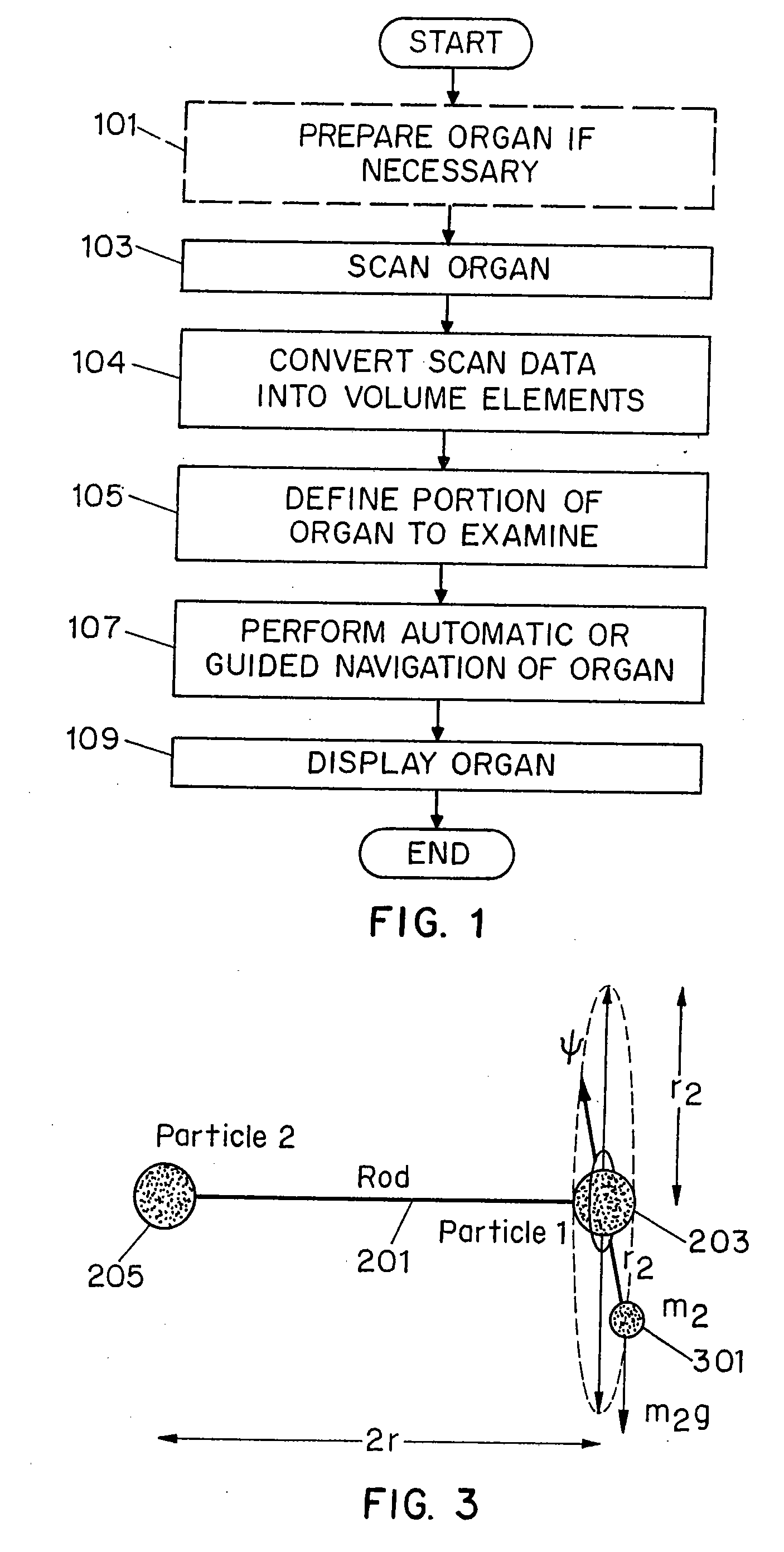 System and method for performing a three-dimensional virtual examination of objects, such as internal organs