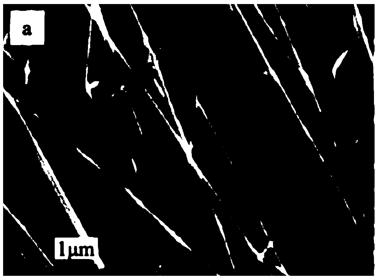 Method for preparing air electrode